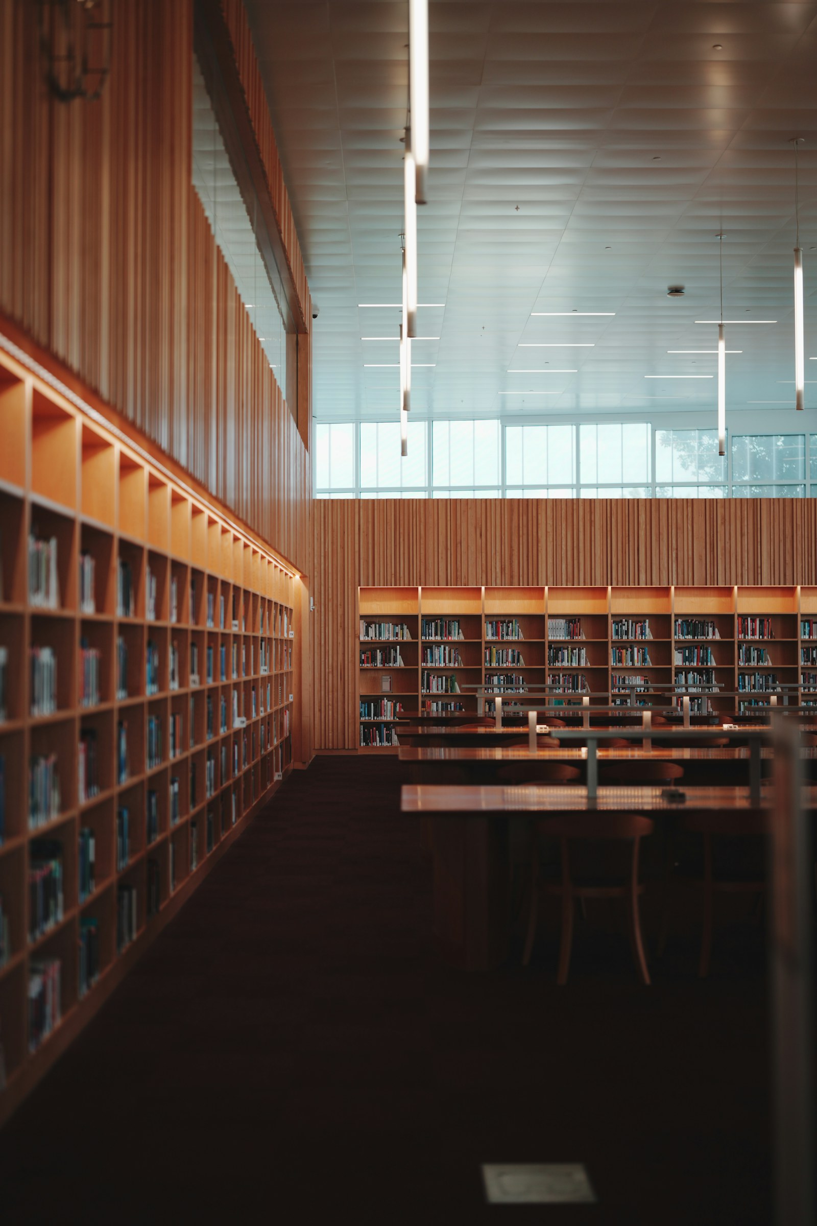Tall wooden library shelves and study tables beneath high windows.